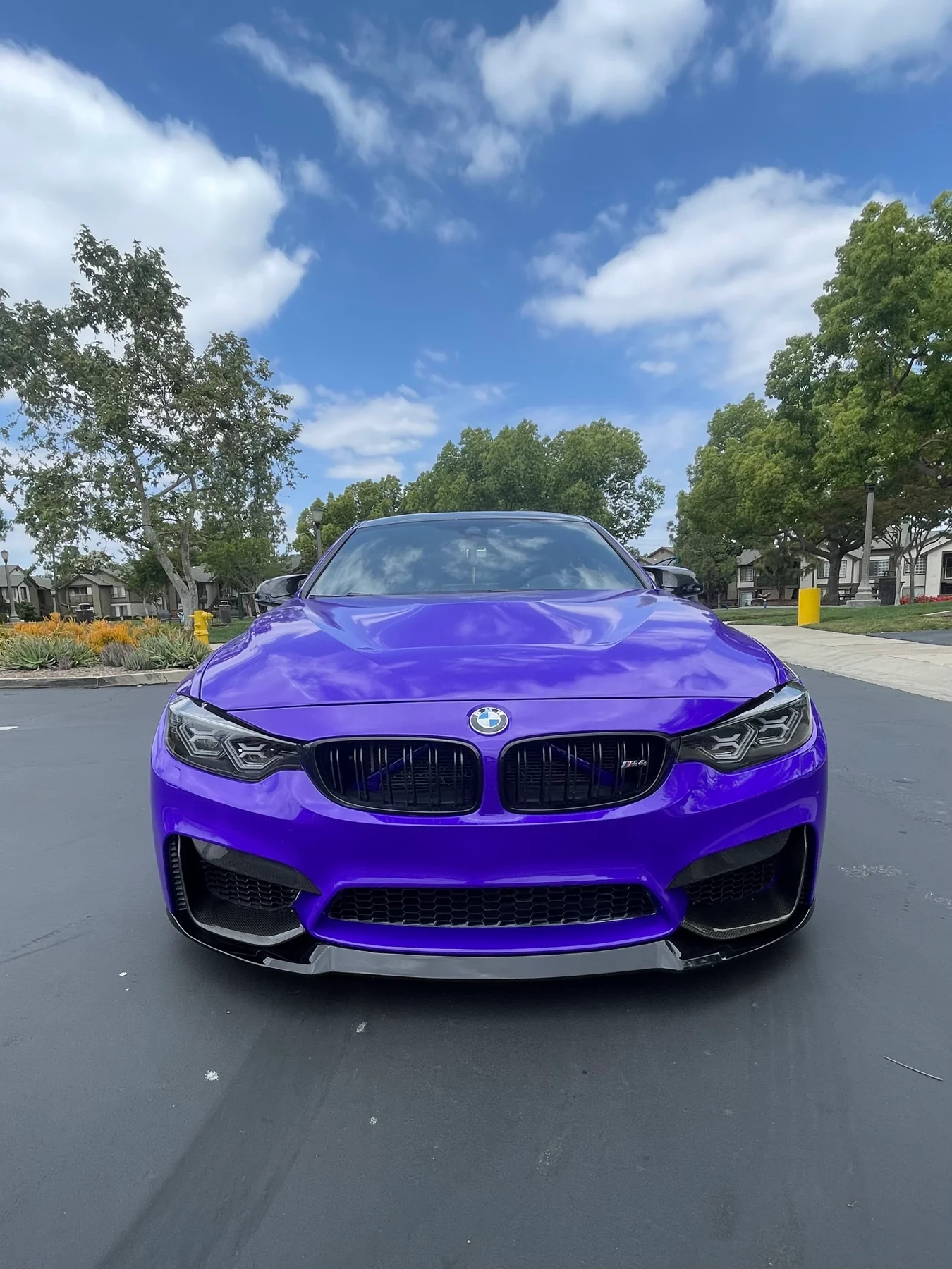 Purple BMW customized by Apex Wraps